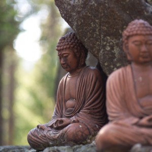 Buddha sculptures