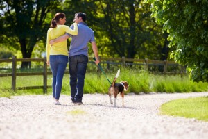 Rear view of couple walking dog along winding road