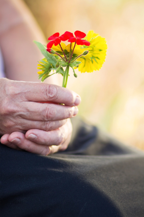 Flowers in the hands of an older person