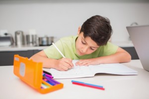 Boy concentrating on homework