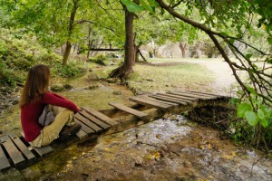 Young woman sitting on bridge in forest