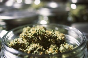 Marijuana in a glass jar
