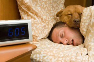 Dog sleeping on top of human