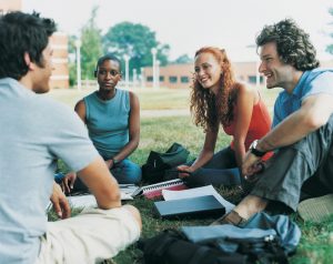 Four college students study outside in grass