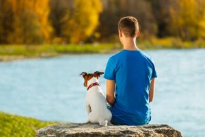 boy and dog sitting together enjoying the view