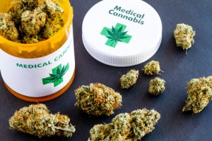 Prescription bottle holding several buds of marijuana
