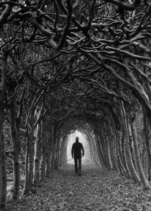 Person walking in a dark tunnel of trees