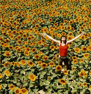 Person stands in field of sunflowers with arms outstretched