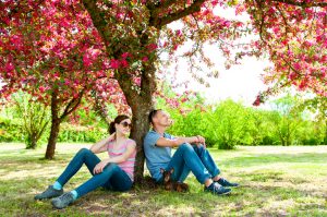 Two people and a small dog sit under a tree with bright pink blossoms