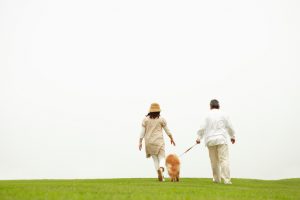 Rear view of a mature couple dressed for cool weather with a dog walking between them