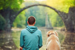 A person sits next to a Golden Retriever and looks out across water toward arced stone bridge 