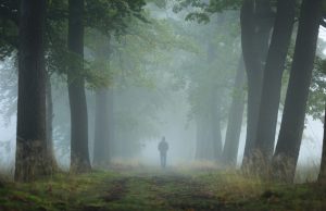 Person walking through fog in woods