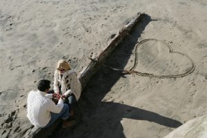 couple sitting on log on sandy beach