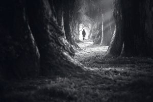 Figure walking alone in dark forest