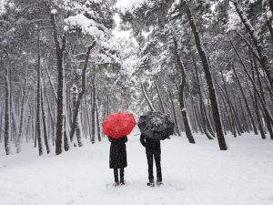 Two people stand apart in snow, facing away from camera, holding separate umbrellas