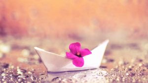 Small fuchsia flower in white paper boat rests on shore of stream 