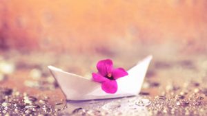 Small fuchsia flower in white paper boat rests on shore of stream