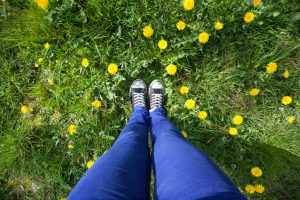 Overhead view of a person's legs in blue pants and feet in black and white sneakers standing in dandelion-spotted grass