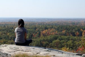 Rear view of person sitting on ledge looking out across tops of trees. Leaves on trees are beginning to change color