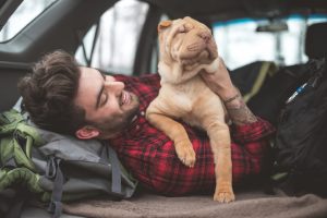 Man playing with dog in car