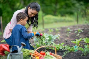 A mother and her son are kneeling next to their vegetable garden and are holding their freshly picked produce, next to them is a basket full of vegetables and a watering can.