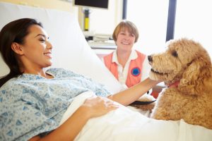 Therapy dog and handler make visits to patients in hospital
