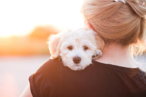 Girl with a young dog enjoying a beautiful day