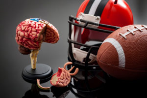 Photo shows helmet, football, and model of damaged brain on table