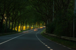 Winding country road at dusk leads into trees