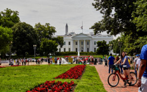 Crowd gathered outside the White House, red flowerbed in foreground