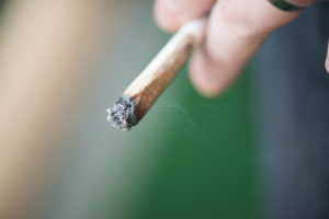 Close-up image of person's fingers holding lit joint on blurred green outdoor background