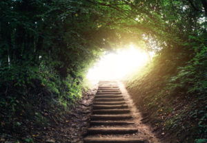 Staircase leading through the forest. Light at the end of the tunnel.