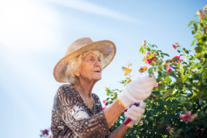 A senior woman works in her sunny garden.