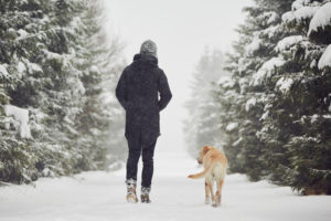 Rear view of person walking with golden retriever down snowy tree-lined road