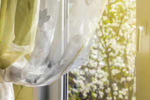 Flowering fruit trees and spring sunshine outside the window of a private house