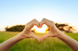 Hands make a heart against sunset in sky by field