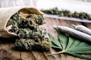 Marijuana buds with marijuana joints on wooden table