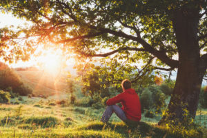 Rear view photo of adult with short hair wearing hoodie sitting under tree thoughtfully