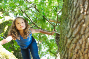 Child looking curious while climbing tree in summer