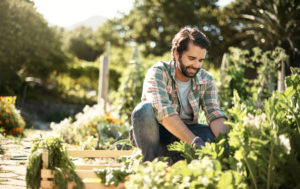 Adult with short hair and facial hair bending down to work in growing garden