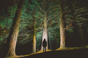 The silhouette of a young man appears in the middle of a redwood forest.