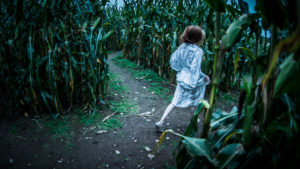 Dusk scene, rear view of young person with long hair wearing white dress wandering through overgrown maze