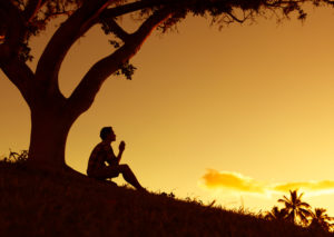 A young man prays under a tree as the sun sets.