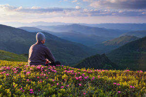 Man sitting in field of flowers on mountaintop, admiring the view