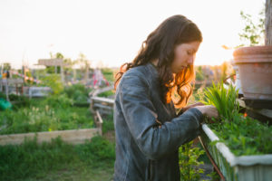 Person with long hair looks into window box and works with plants