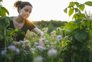 Woman tending her garden at sunrise