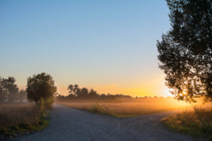 A crossroads in a rural area softly lit by a sunrise