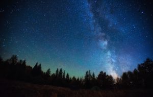 Night sky showing the Milky Way galaxy above a forest clearing