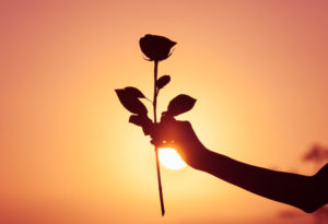 Silhouette of a hand and rose before a sunset.