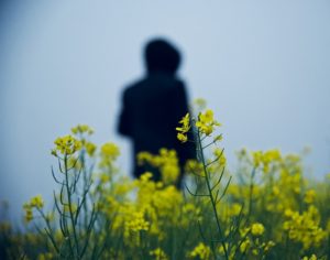 The silhouette of a person standing in a field of yellow mustard flowers.